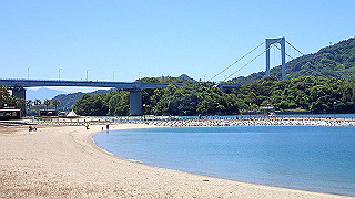 p5070842_thumb.jpg