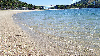 p5070848_thumb.jpg