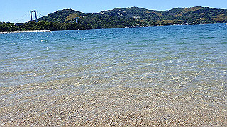 p5070850_thumb.jpg