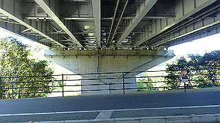 p5070854_thumb.jpg