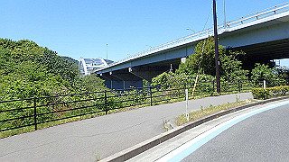 p5070856_thumb.jpg