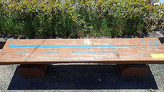 p5070860_thumb.jpg