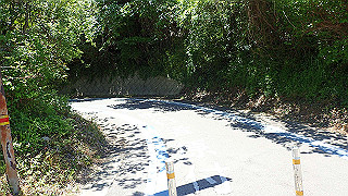 p5070861_thumb.jpg