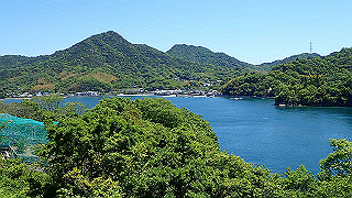 p5070878_thumb.jpg