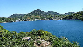 p5070882_thumb.jpg