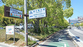 p5070891_thumb.jpg