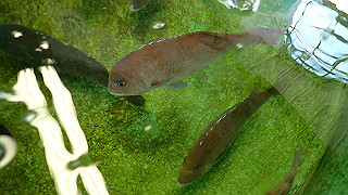 p5070905_thumb.jpg