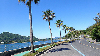 p5070951_thumb.jpg