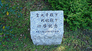 p5070961_thumb.jpg