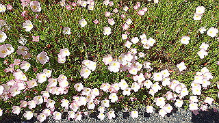 p5070963_thumb.jpg