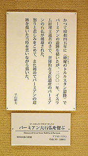 p5070998_thumb.jpg