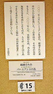 p5071000_thumb.jpg