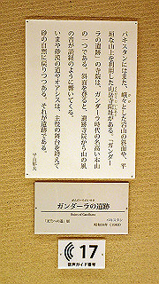 p5071003_thumb.jpg