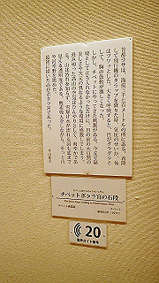 p5071008_thumb.jpg