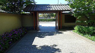 p5071021_thumb.jpg