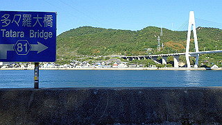 p5071032_thumb.jpg