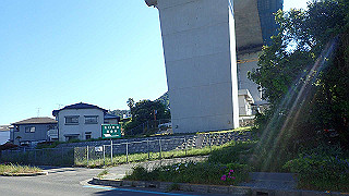 p5071036_thumb.jpg