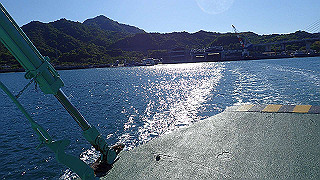 p5071051_thumb.jpg
