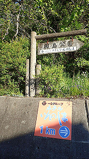 p5071058_thumb.jpg