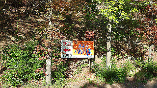 p5071060_thumb.jpg