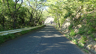 p5071061_thumb.jpg