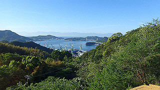 p5081075_thumb.jpg