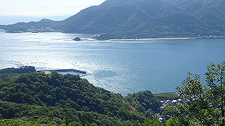 p5081091_thumb.jpg