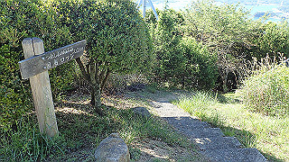 p5081093_thumb.jpg