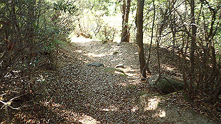p5081100_thumb.jpg