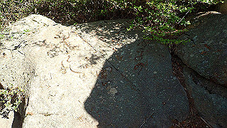 p5081105_thumb.jpg