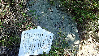p5081109_thumb.jpg