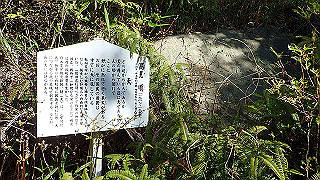 p5081110_thumb.jpg