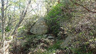 p5081112_thumb.jpg