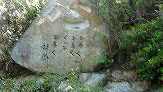 p5081113_thumb.jpg
