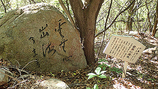 p5081114_thumb.jpg