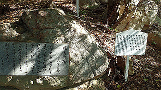 p5081116_thumb.jpg