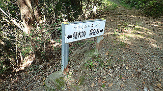 p5081117_thumb.jpg