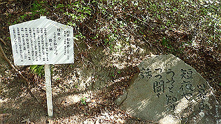 p5081118_thumb.jpg