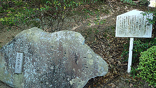p5081119_thumb.jpg