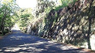 p5081126.mov_thumb.jpg