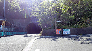 p5081127_thumb.jpg
