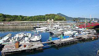 p5081131_thumb.jpg