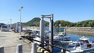 p5081132_thumb.jpg