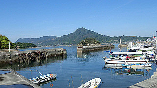 p5081135_thumb.jpg