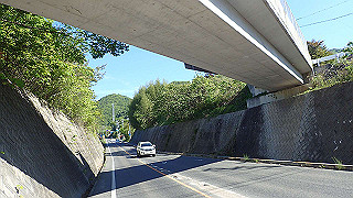 p5081138_thumb.jpg