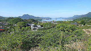 p5081140_thumb.jpg
