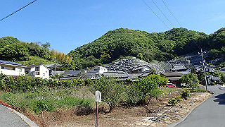 p5081157_thumb.jpg