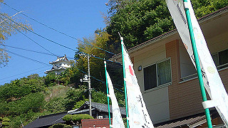 p5081158_thumb.jpg