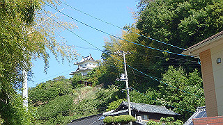 p5081159_thumb.jpg