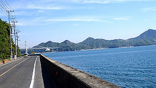 p5081169_thumb.jpg